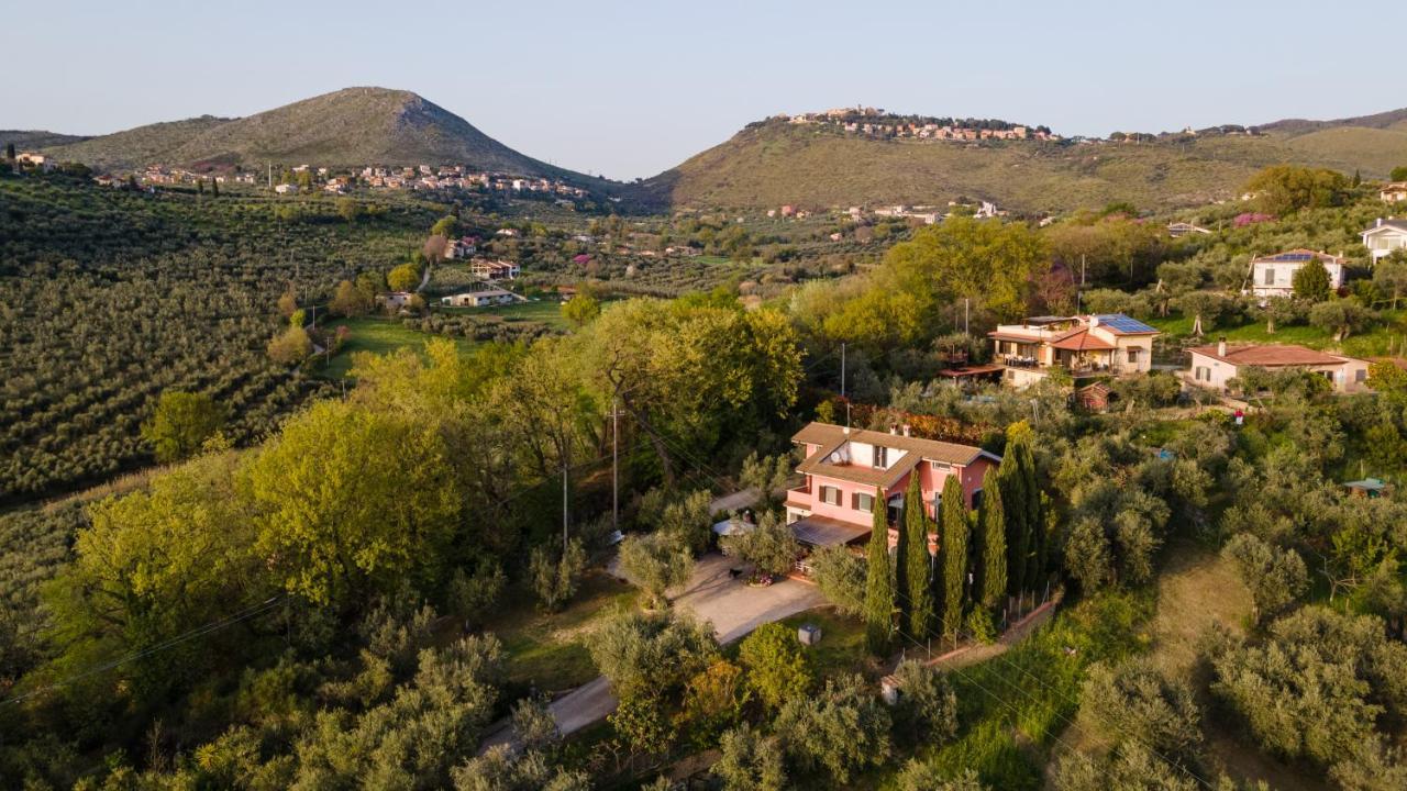 La Tana Delle Stelle B&B Di Charme E Relax Fara in Sabina Buitenkant foto
