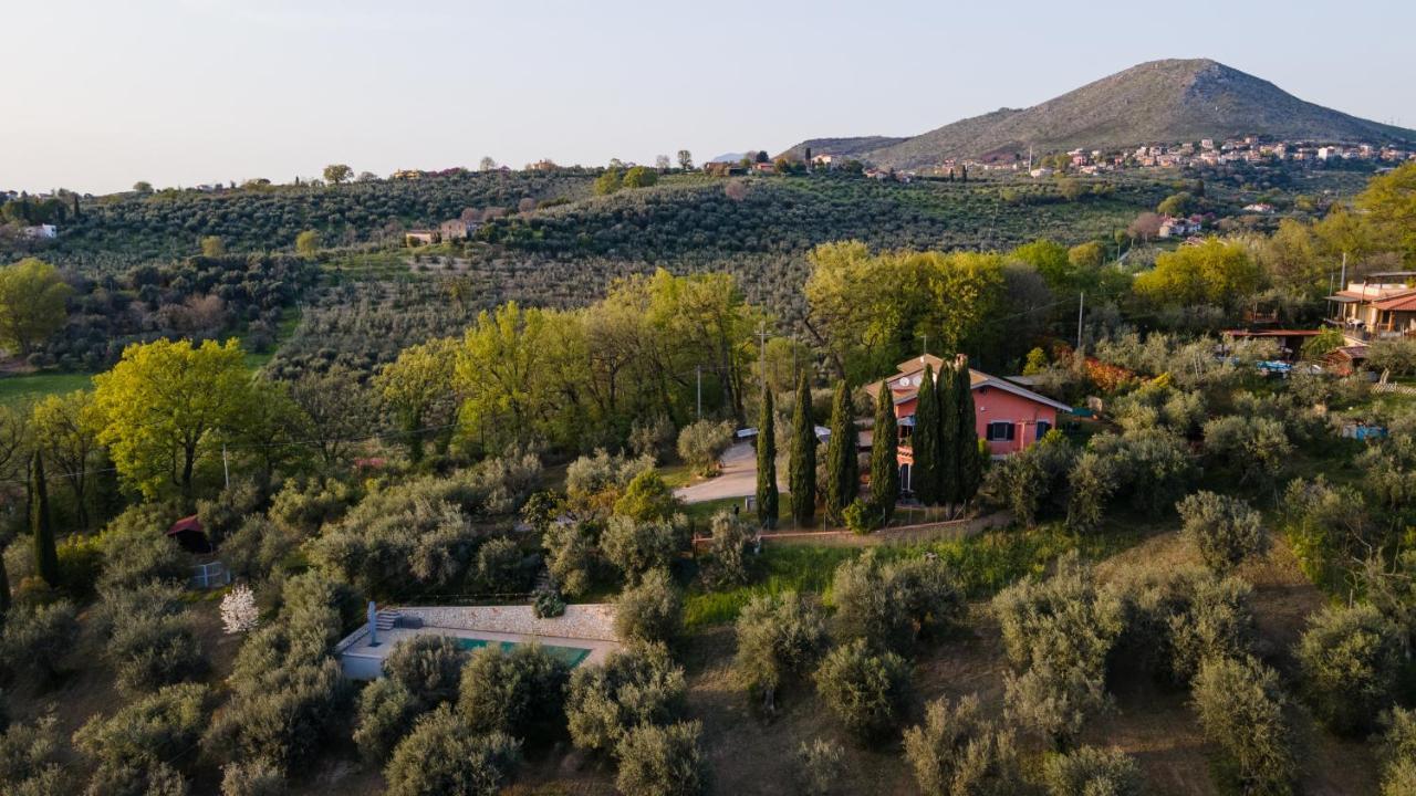 La Tana Delle Stelle B&B Di Charme E Relax Fara in Sabina Buitenkant foto