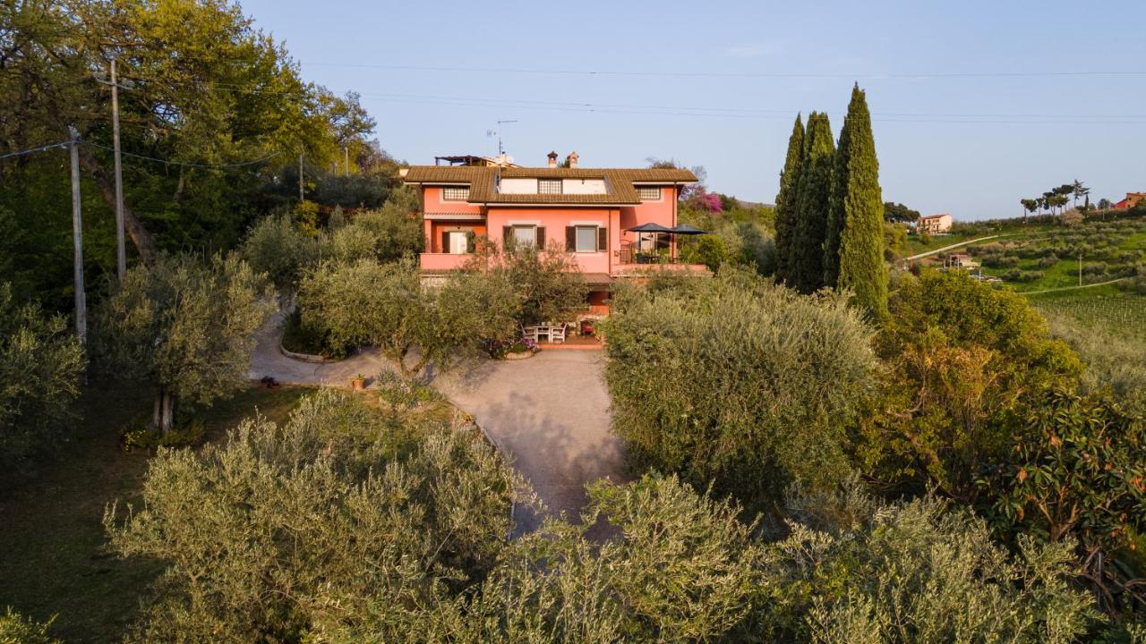La Tana Delle Stelle B&B Di Charme E Relax Fara in Sabina Buitenkant foto