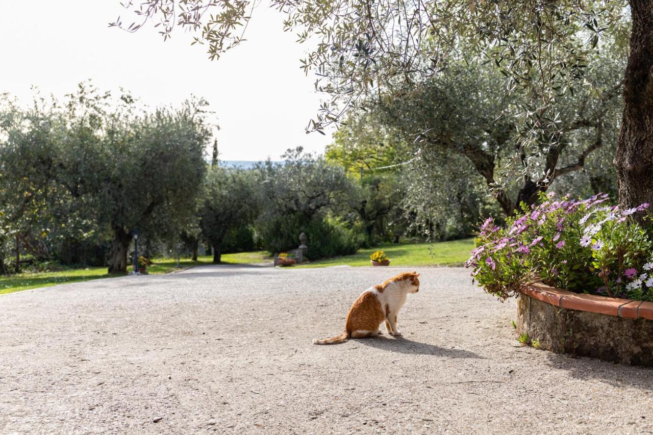 La Tana Delle Stelle B&B Di Charme E Relax Fara in Sabina Buitenkant foto